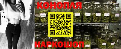 спиды Малгобек