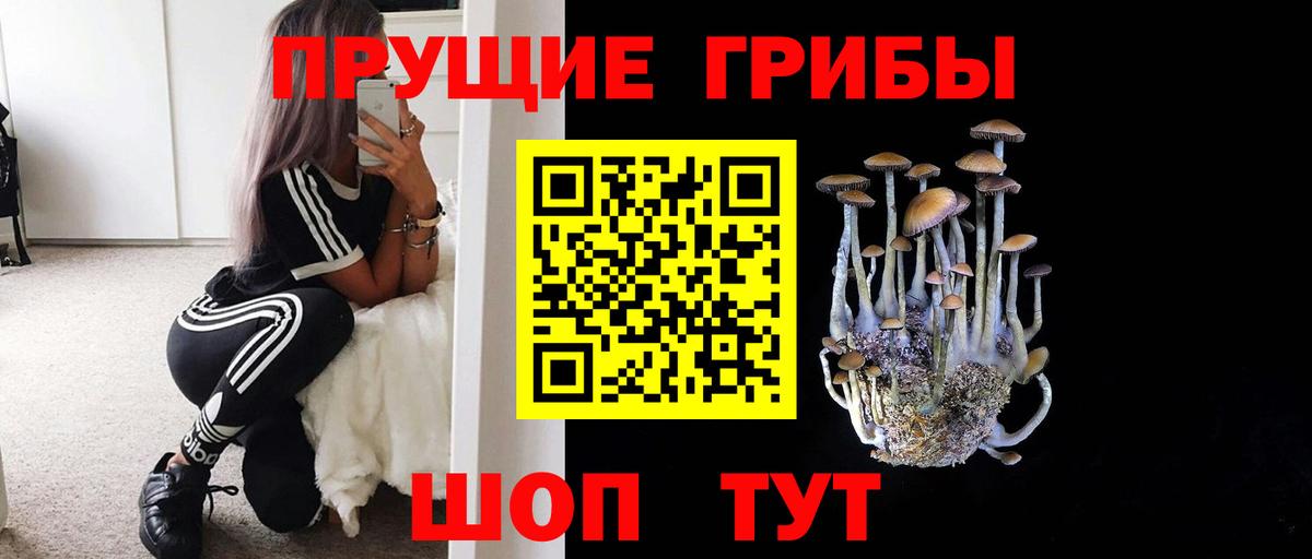 Галлюциногенные грибы Psilocybe  купить наркотики сайты  Вход с VPN  Дагестанские Огни  Псилоцибиновые грибы Cubensis 